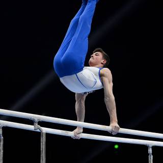 Gymnastics bars wallpaper