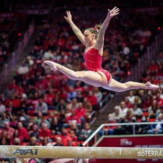 Gymnastics bars wallpaper