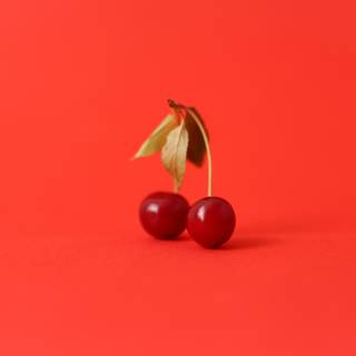 Red food wallpaper