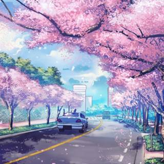 Aesthetic summer anime iPhone wallpaper