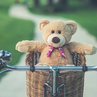 Teddy Bear summer wallpaper