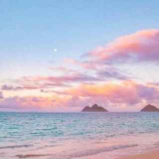 Aesthetic summer anime iPhone wallpaper