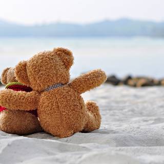 Teddy Bear summer wallpaper