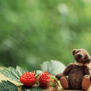 Teddy Bear summer wallpaper