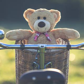 Teddy Bear summer wallpaper