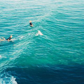 Surfing summer wallpaper