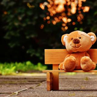 Teddy Bear summer wallpaper