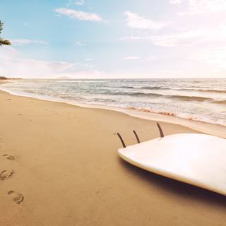 Surfing summer wallpaper