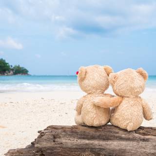 Teddy Bear summer wallpaper