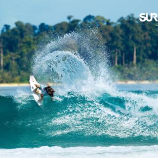 Surfing summer wallpaper