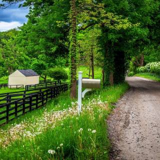 Country road spring wallpaper