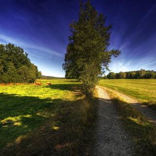 Country road spring wallpaper