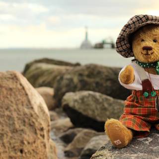Teddy Bear summer wallpaper