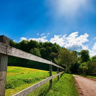 Country road spring wallpaper
