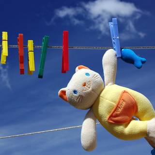 Teddy Bear summer wallpaper