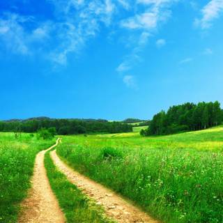 Country road spring wallpaper