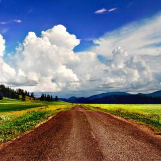 Country road spring wallpaper