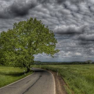 Country road spring wallpaper