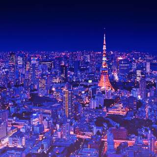 Tokyo summer nights wallpaper