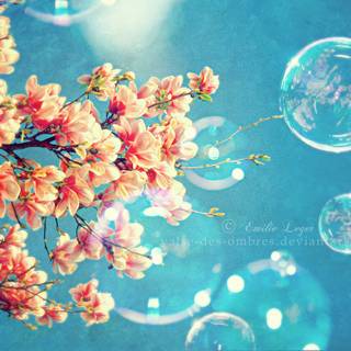 Kawaii spring PC wallpaper