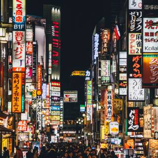 Tokyo summer nights wallpaper