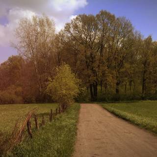 Country road spring wallpaper