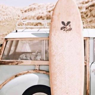 Surfing summer wallpaper