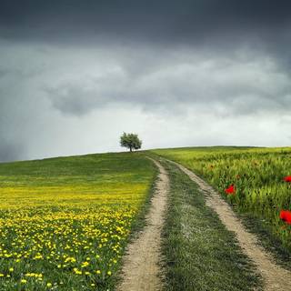 Country road spring wallpaper