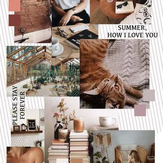 Summer mood boards wallpaper