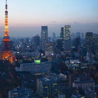 Tokyo summer nights wallpaper