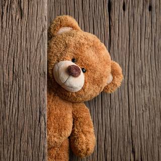 Teddy Bear summer wallpaper