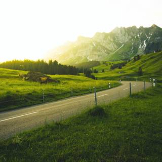 Country road spring wallpaper