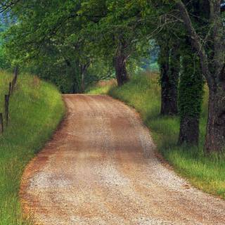 Country road spring wallpaper