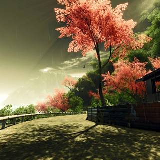 Country road spring wallpaper