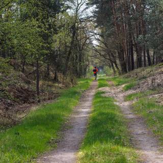 Country road spring wallpaper