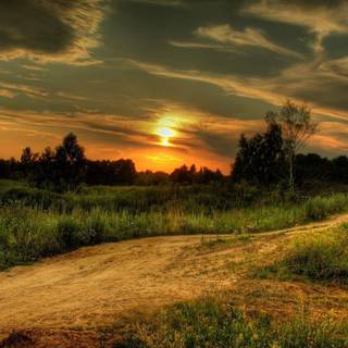 Country road spring wallpaper