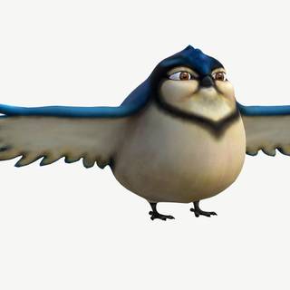 Fat bird wallpaper