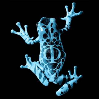 Blue frog wallpaper