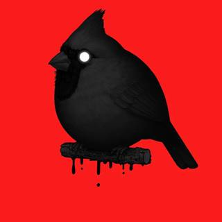 Fat bird wallpaper