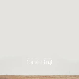 Seventeen 2023 wallpaper