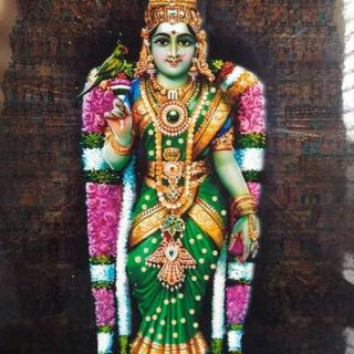 Madurai Meenakshi wallpaper