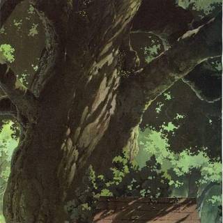 Totoro HD phone wallpaper