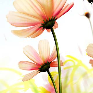 Spring simple vertical wallpaper