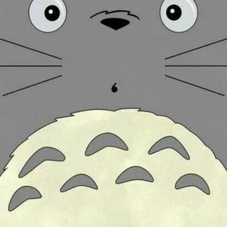 Totoro HD phone wallpaper