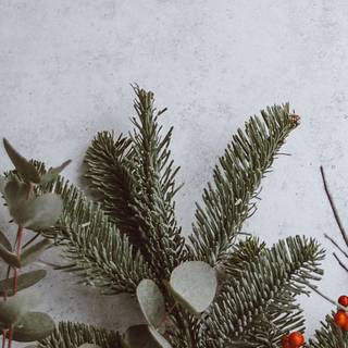 iPhone 13 Xmas wallpaper