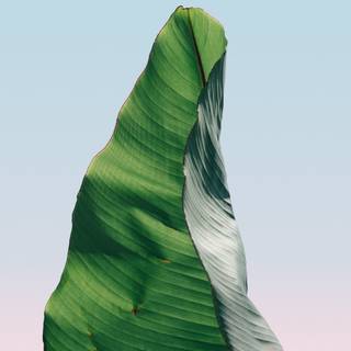 4k lockscreen iPhone wallpaper