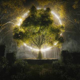 4k lockscreen iPhone wallpaper