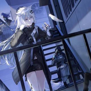 Lappland desktop wallpaper