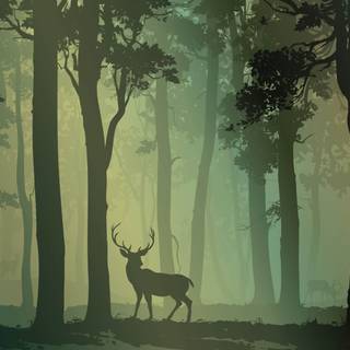 Deer in forest wallpaper