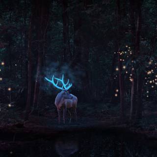Deer in forest wallpaper